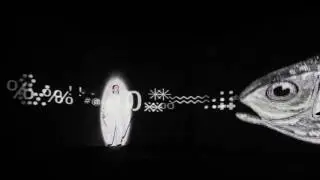 Из жизни насекомых. From the life of insects. (2016)