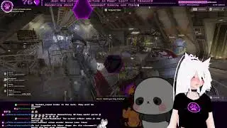 Pirate Paws Live Stream @  