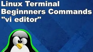 Команды терминала Linux для начинающих, часть 18: редактор vi.