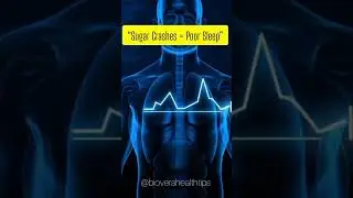 &ldquo;Fix Your Sleep by Controlling Blood Sugar | GlucoTrust Explained&rdquo;