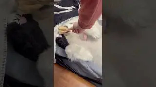 The look of betrayal on his face is too funny 🤣❤️