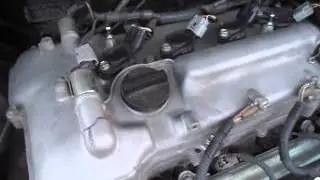MOV00076