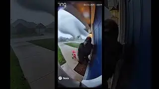 💀TORNADO☠️💥&hellip;.#funny #memes #tornado #animals #sora2 #sora2ai #veo3ai #popular #recommended #viral
