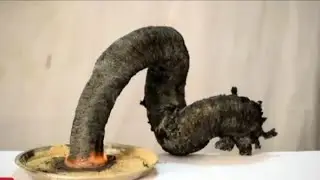 How To Make Biggest Snake Crackers At Home||World Biggest Snake Crackers  🐍#viralvideo #experiment