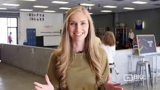 Zoom Room Dog Training