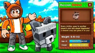 JAK ZDOBYĆ RACCOONA ZA DARMO w GROW a GARDEN!