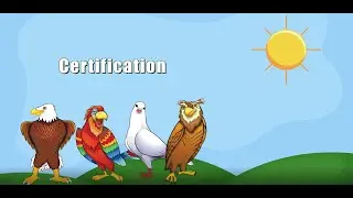 Taking Flight with DISC Certification
