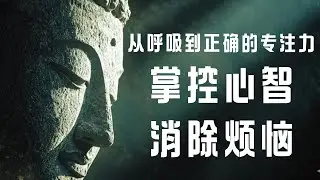 以息入定：通过神圣呼吸达到身心脱落｜觉行圆满  #修行 #國學 #人生感悟 #治癒