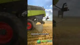 Комбайн в действии: как эффективно убирать ячмень 🌾🚜