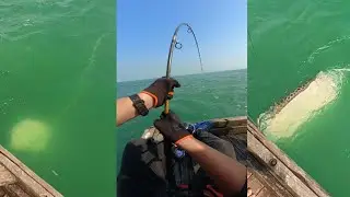 ‼️INSANE Rod Bent‼️Ugly Stik Born To Get BENT | Epic Stingray Battle 