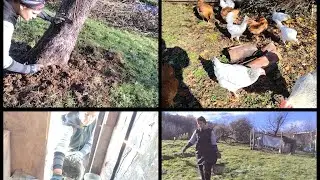 روتين مغربي في الطبيعة في الريف الايطالي🇮🇹 نهار زوين ومشمش كيفاش جاتني الفكره باش نعيش في البادية 
