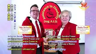 1128 SWA Shining World Compassion Award Recipient Dog Assistance in Disability 6m