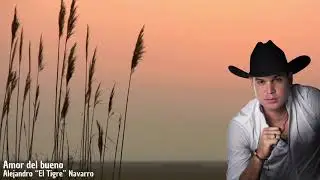 Alejandro “El Tigre” Navarro - Amor del Bueno (Video Audio Oficial)