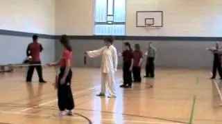 Tai Chi Peking Form Taiji Schwert TaijiJian