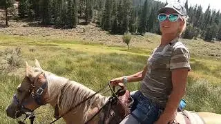 BC Pack Trip 2020