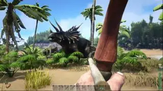 ark