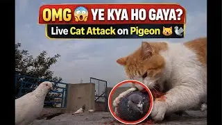 Khan khan  is live