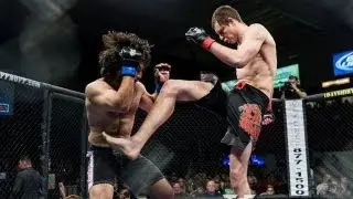 Ahamd Sanatyar vs Vadim Goberman