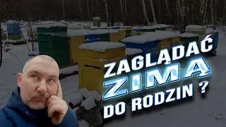 Czy zaglądać ZIMĄ do rodzin pszczelich ?