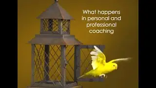 What happens in coaching?