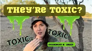 Dealing w/ toxic narcissists?