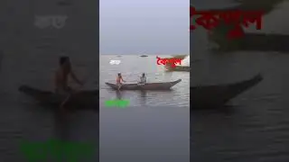 #koipul