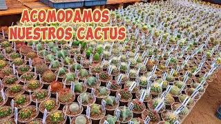 ACOMODAMOS nuestros cactus