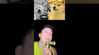 MUERE DOGE EL PERRITO DE LOS MEMES!😱🐕🕊️😭#short #sabiasque #curiosidades #casos #datos #doge