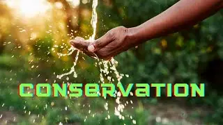 Cxdy | Conservation