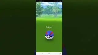 Catching Cottonee in Pokemon Go