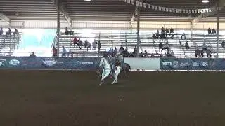 Colton and Shaysea Short Round Steer Buckeye #8