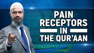 Pain Receptors in the Quran - Dr Zakir Naik
