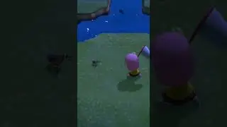 This is how you catch a Tarantula in animal crossing, Newbie Player #fyp #shorts #animalcrossing