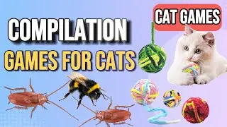 3D Chase Games for Cats 🐭🐜  | Ultimate Cat TV Compilation | No Ads 4K