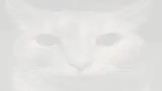 ‎