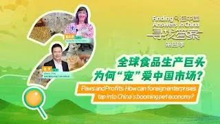 Paws and Profits: How can foreign enterprises tap into China's booming pet economy?