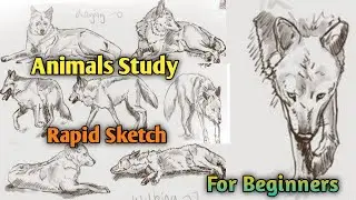 How to make animal study rapid sketch / How to make animal drawings / Tutorial  animal rapid sketch.