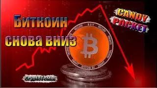 Майнинг Candy Pocket/ На рынке скидки и льётся кровь