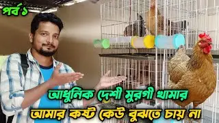 সিড়ির ঘরে আধুনিক দেশী মুরগী খামার আমার কষ্ট কেউ বুঝতে চায় না #shakilfarming #কৃত্রিমপ্রজনন