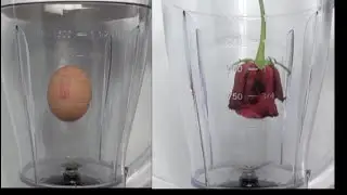 Food vs Food Blender in SLOW MOTION (1000fps) AWESOME BLENDS! Part 2 | X Motion Studios