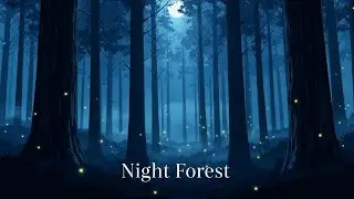 Forest Night Ambience &ndash;1 Hour  Seamless Loop for Relaxation & Deep Sleep