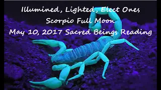 🌜🦂SCORPIO FULL MOON 🌝🦂 SACRED BEINGS & DIVINE PARTNERSHIP READING 🦂MAY 10, 2017🦂🌛