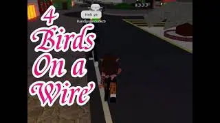 4 birds on a wire