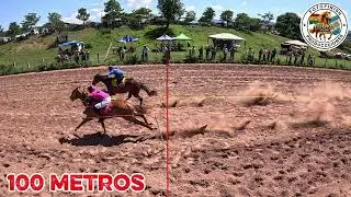 FACHITAS VS AMARANTA 