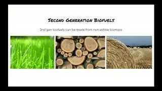 Fungal Biofuels