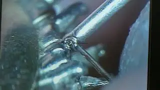 Repairing a Broken Ring Claw