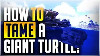 Easiest Way to Tame Giant Turtle (Megachelon)!! | EVERYTHING YOU NEED TO KNOW! Ark Genesis!