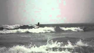 Tiger Shores ~5.14.11