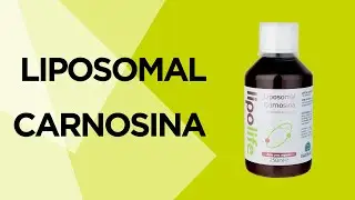 Liposomal Carnosina: favorece la vitalidad muscular y un envejecimiento saludable
