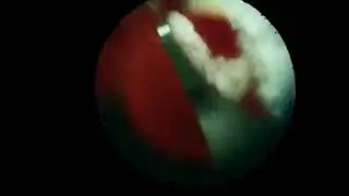Davinci Engineering High Speed Underwater Videography